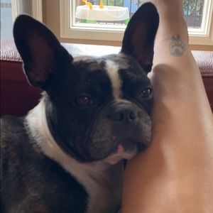 Meet your Posher, Ileah